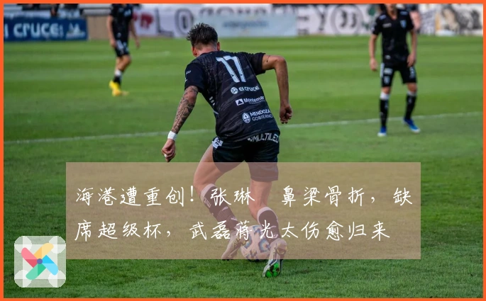 海港遭重创！张琳芃鼻梁骨折，缺席超级杯，武磊蒋光太伤愈归来