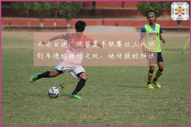 大范甘迪：观察夏季联赛让人认识到韦德的独特之处，他传授的知识迅速被领悟与应用