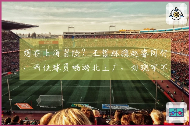 想在上海冒险？王哲林携赵睿同行，两位球员畅游北上广，刘晓宇不再孤单